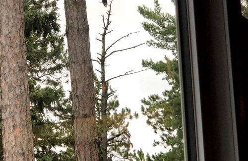 Chickamaw Beach Cabin | Relax in a cozy and private lake front cabin with breathtaking views!