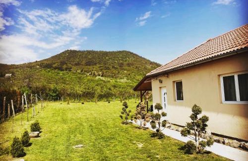 Satoraljaujhely House | Relax Island Vendégház