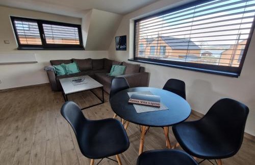Cerna V Posumavi Apartment | Relax Vila Lipno- apartmán v podkroví u pláže Windy Point