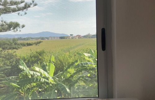 Paestum Apartment | Relaxation and privacy in park 1km from archaeological zone.