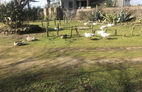 Paestum Apartment | Relaxation and privacy in park 1km from archaeological zone.