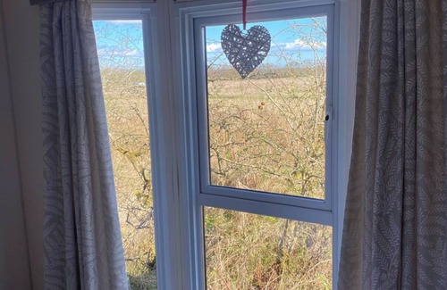 Morpeth Cabin | Relaxing Lodge In The Heart Of Northumberland