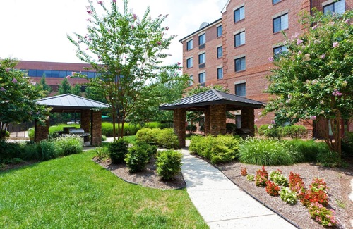 McLean Condo | Relaxing Retreat! Suite with Private Patio in Mclean | Free Breakfast + 24h Business Center