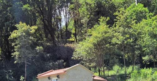 Bico House | Remarkable 1-Bed Cottage in Arcos de Valdevez