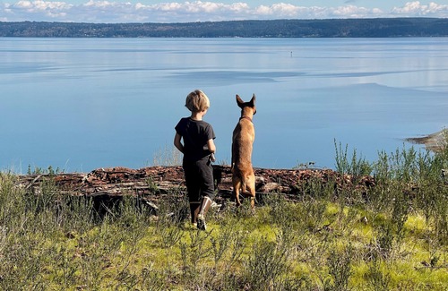 Brinnon House | Remodeled 32’ Airstream with incredible water views on large, private acreage