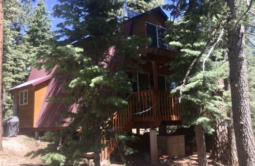 Meadow View Heights Cabin | Remodeled Cabin in the trees