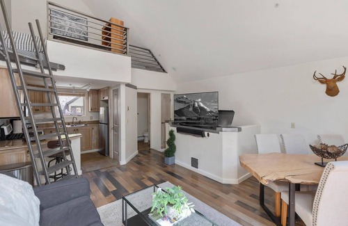 Telluride Condo | Remodeled Luxury Condo - Open for Bluegrass