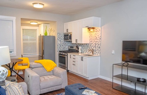 Mahncke Park Apartment | Remodeled Modern 1BR 1BA Apt Near Downtown 5min Pearl