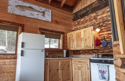 Lake City Cabin | Remote Cabin w/Loft in Beautiful Southwest Colorado - Pet Friendly - Sleeps 6