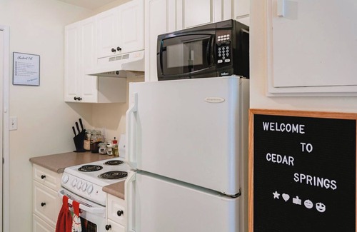 Harrison Hot Springs Condo | Renovated Cedar Springs Studio!