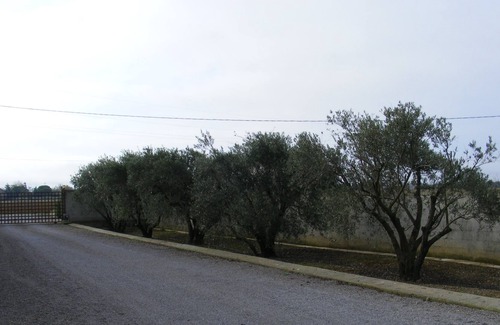 Raissac-d'Aude House | RENTAL CHALET - CHARMING BUNGALOW IN RAISSAC D'AUDE WITH POOL