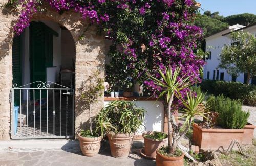 Morcone Apartment | Residence Augusto