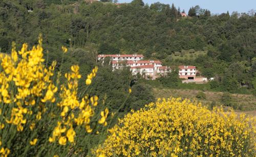 Urbino Apartment | Residence Città Ideale