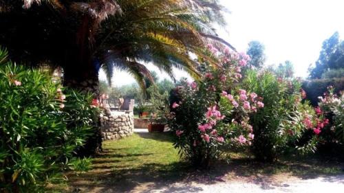 Bonalaccia-Filetto Apartment | Residence Dolores