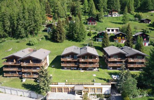 Bellwald Apartment | Residence Edelweiss C313