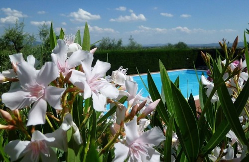 Santomato Apartment | Residence in Pistoia with 1 bedrooms sleeps 4