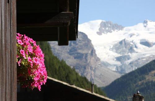Champoluc Apartment | Residence Les Coupoles