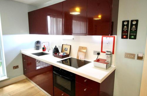 Kings Cross St. Pancras Apartment | Residences at The Gyle - London