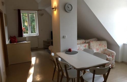 Harrachov Apartment | Resort 302
