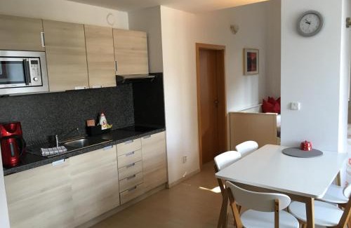 Harrachov Apartment | Resort 302