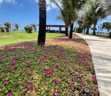 Porto de Galinhas Apartment | Resort Beira mar em Porto de Galinhas - Cupe Beach Living