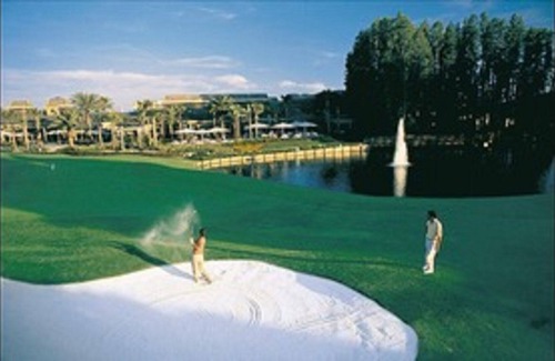 Saddlebrook Condo | Resort Living at Golf and Tennis Resort, 3 bedroom condo