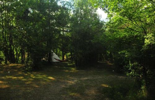 Montagut Other | Respira Glamping Alta Garrotxa