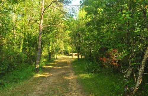 Montagut Other | Respira Glamping Alta Garrotxa