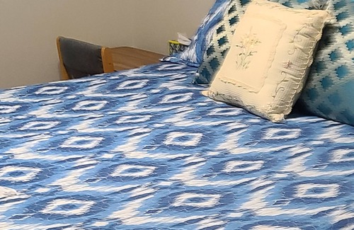 McAllen House | Rest, Relax and Recover in our Oasis Unit 1