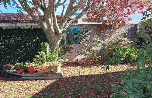 Hamilton Apartment | Restful garden studio in Central Hamilton