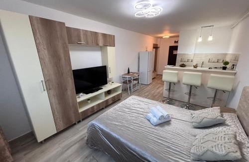 Piatra Neamt Apartment | RG Garsoniera Central
