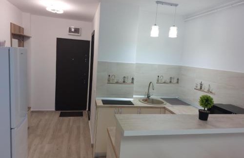 Piatra Neamt Apartment | RG Garsoniera Central