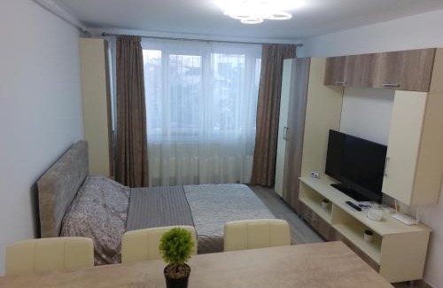 Piatra Neamt Apartment | RG Garsoniera Central