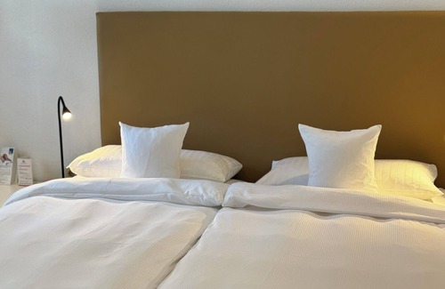 Mainz-Bingen Hotel | Rhein-Hotel Nierstein