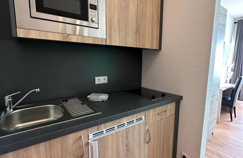 Koblenz Apartment | Rheinblick Apartment Ferienapartment in Spektakulärer Lage Direkt am Rhein
