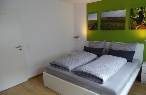 Mainz-Bingen Apartment | Rheinhessen Apartment