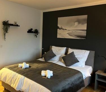 Altstadt Apartment | Rheinpanorama Suite mit Balkon