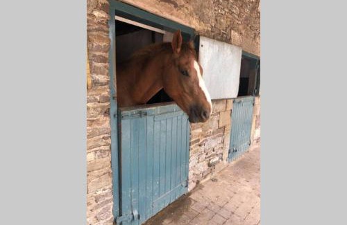 Enniskillen House | Rhubarb Cottage