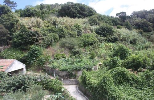 Monserrate Apartment | Ribeira dos Marinheiros Verde Água