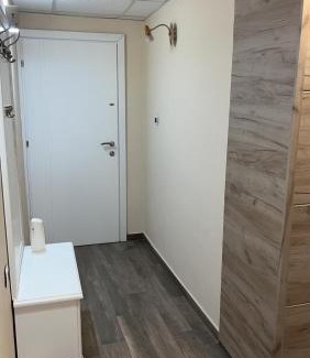 Downtown Apartment | Ribnica
