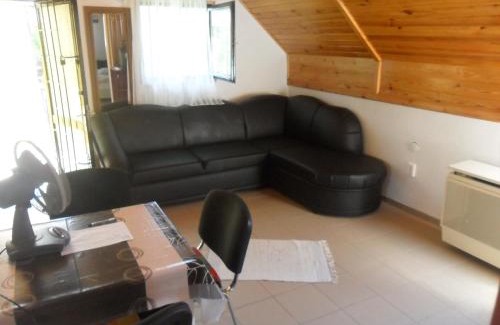 Zsorifurdo Apartment | Ricsi Apartman