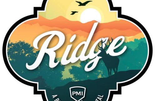 Kerrville House | Ridge - A Birdy Vacation Rental