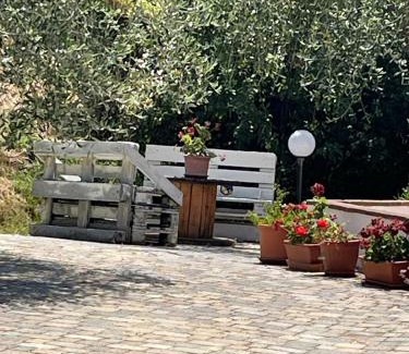 Montopoli in Val d'Arno House | Rifugio tra gli olivi in campagna Toscana