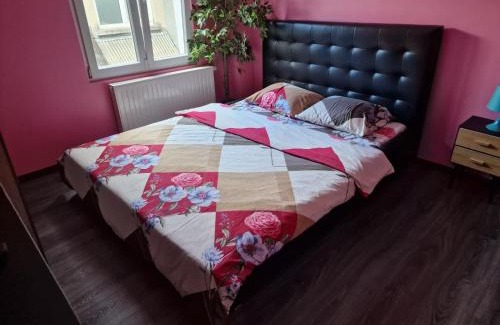 Antwerp House | Right choice room