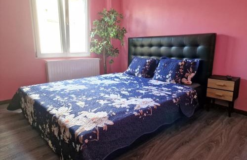 Antwerp House | Right choice room