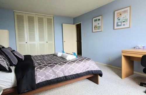 West Edmonton Apartment | Right Next To WEST EDMONTON MALL with Free Parking