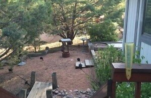 Payson House | Rim Country Living in the heart of Arizona