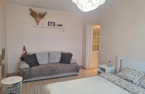 Business District Apartment | Rinktinės apartments