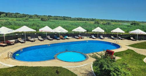 Colina House | Rio Divino