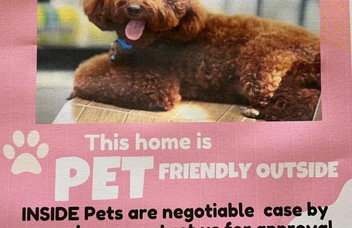 Waterhouse House | Riptide - Pet friendly outside WiFi